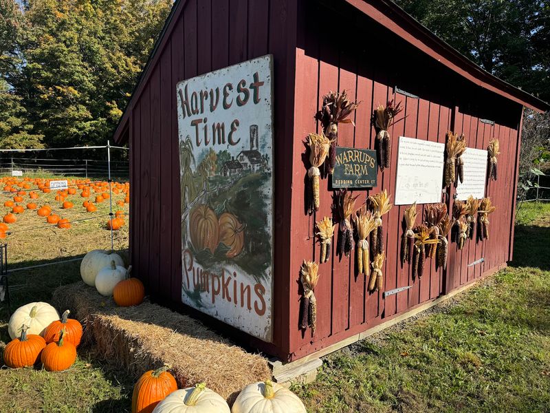 Warrup's Farm, Redding Warrup's Farm, Redding