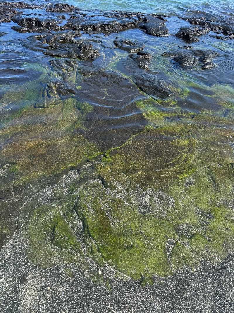 Watch Your Step On The Lava Rock Watch Your Step On The Lava Rock