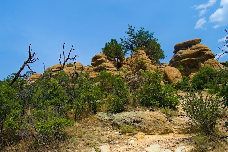 Watch Your Step for Rattlesnakes
