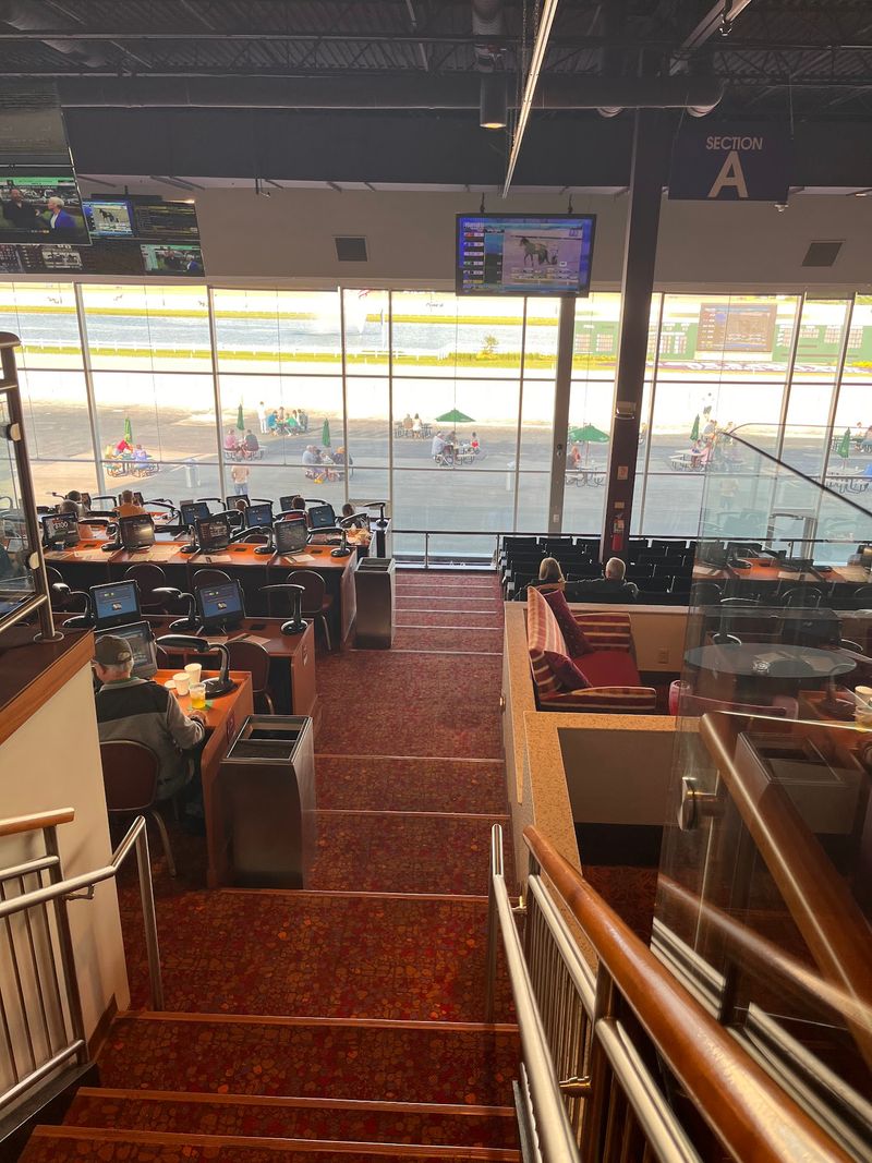 Watching The Races From The Dining Tables Watching The Races From The Dining Tables