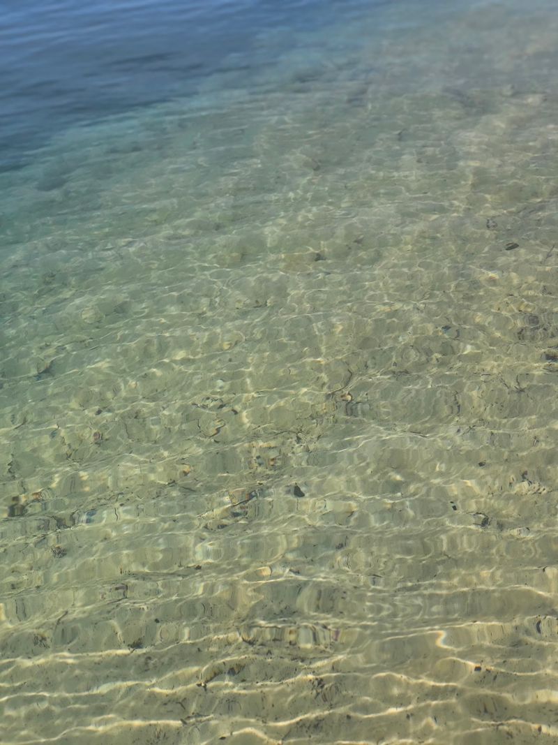 Water So Clear It Feels Like an Aquarium