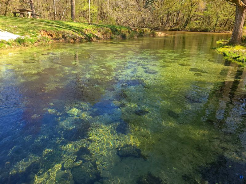 Water So Clear You Can Count the Fish