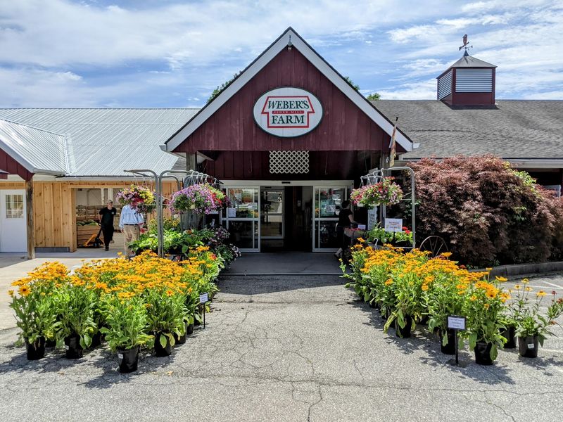 Weber's Cider Mill Farm Inc, Parkville, MD