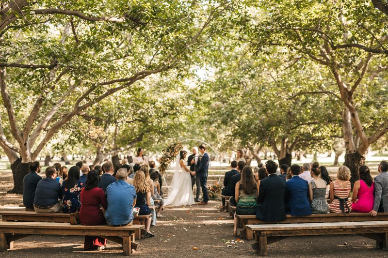 Weddings And Events In The Capay Valley Weddings And Events In The Capay Valley