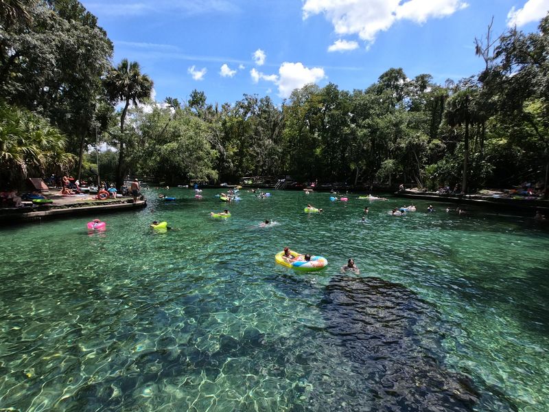 Wekiva River, Apopka, Florida