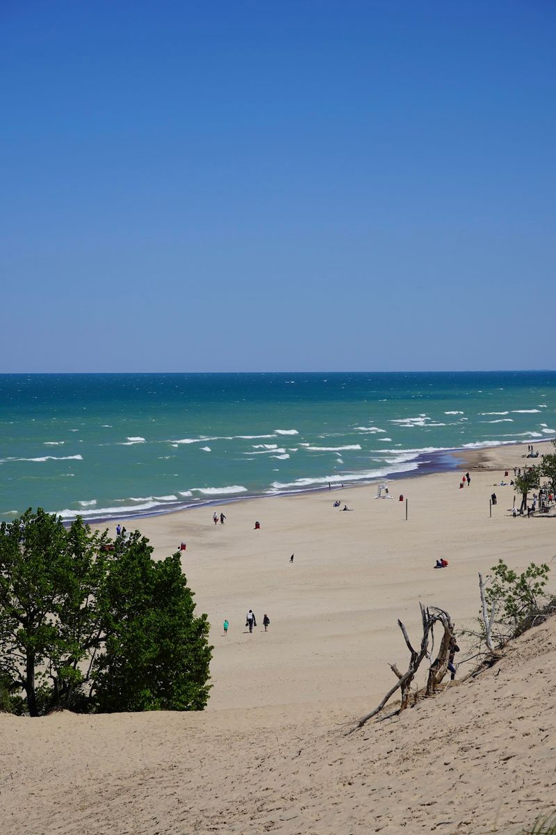 West Beach, The Crown Of The Park