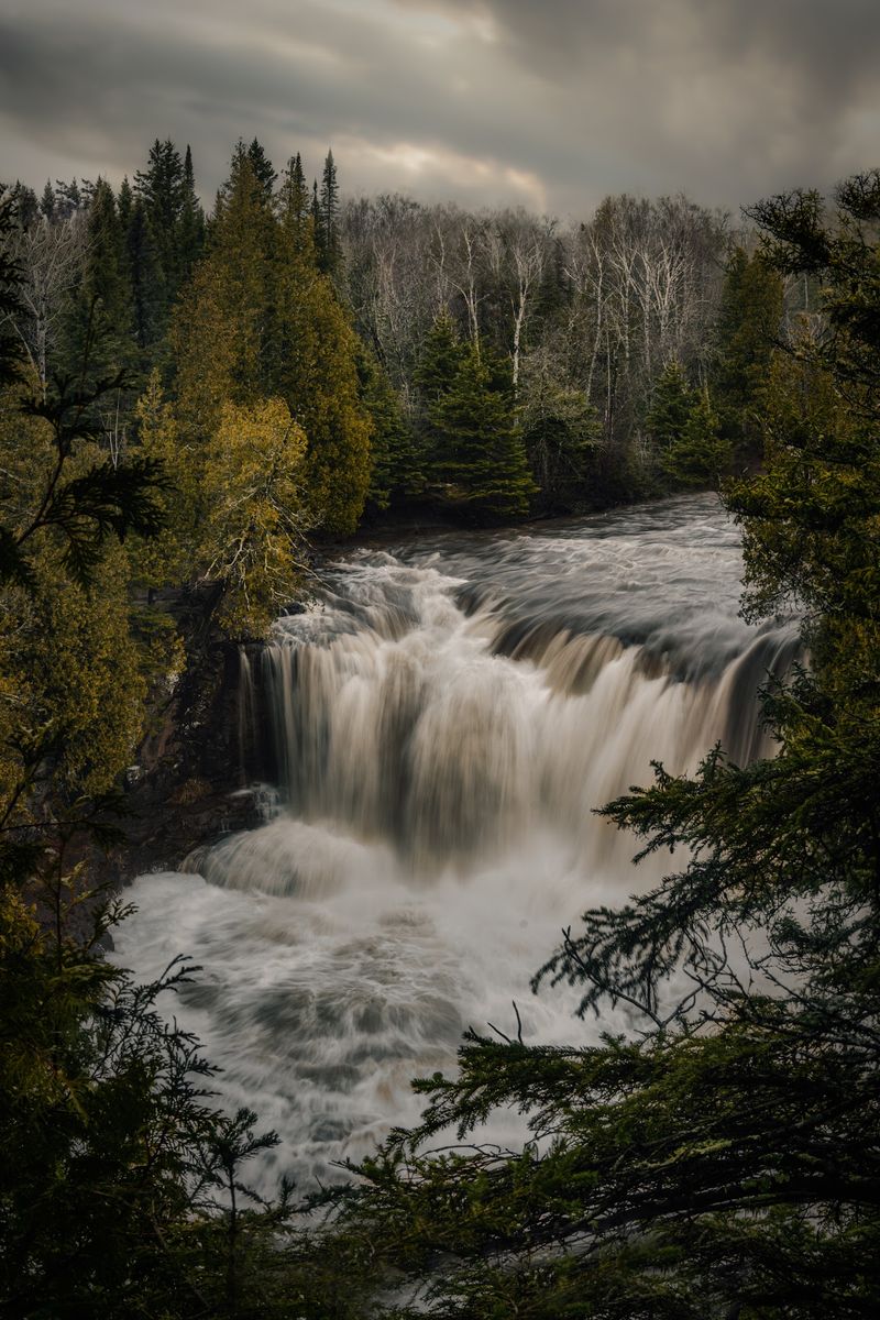 When the Water Runs Wild