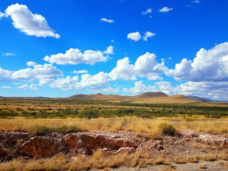 Where Arizona Hides Its Orchard Country