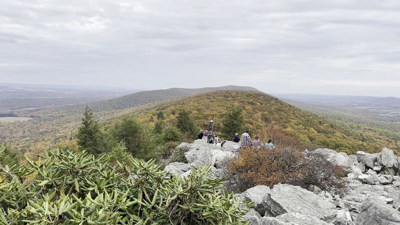 Where Birdwatchers Gather Where Birdwatchers Gather