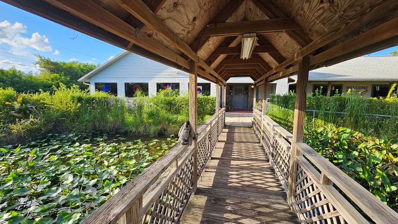 Where Country Charm Meets a Tampa Highway