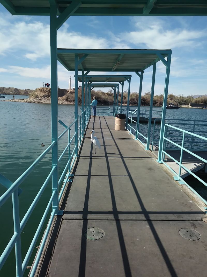 Where Kids Catch Their First Fish Where Kids Catch Their First Fish