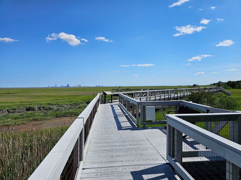 Where Marsh Meets Skyline in Galloway