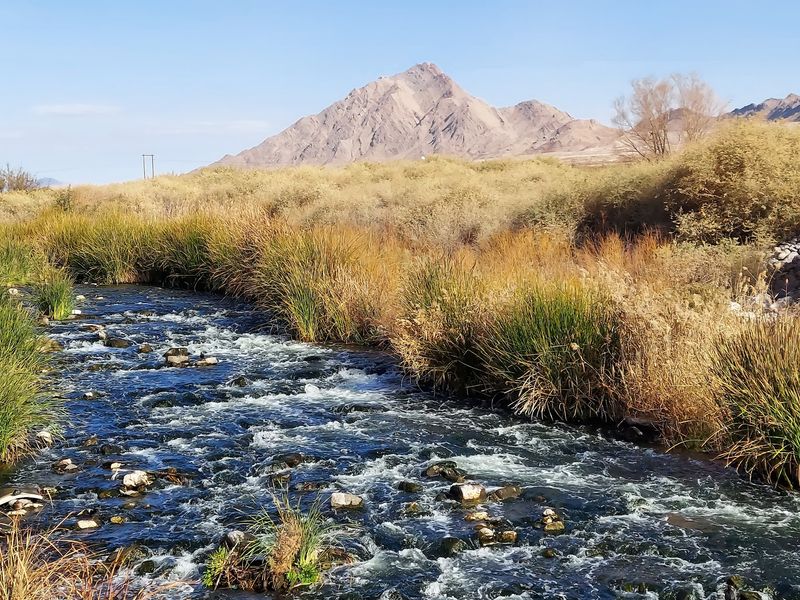 Where The Desert Meets The Marsh Where The Desert Meets The Marsh