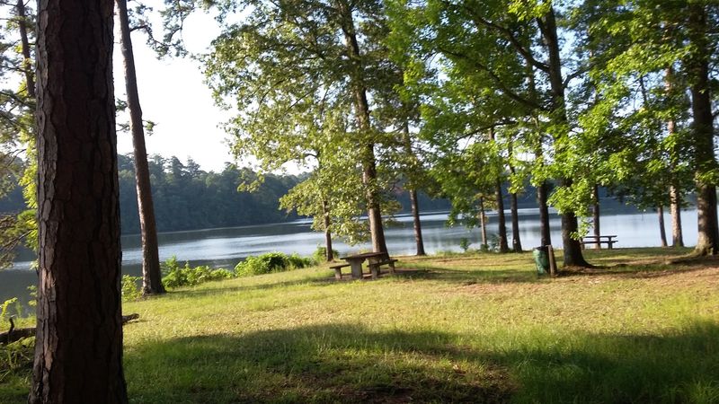 Where The Pines Meet The Water