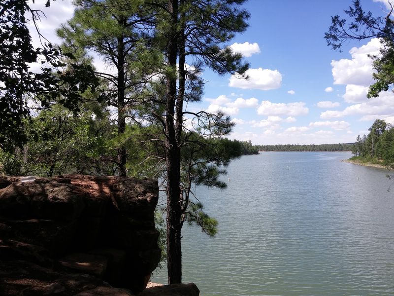 Where The Pines Meet The Water Where The Pines Meet The Water