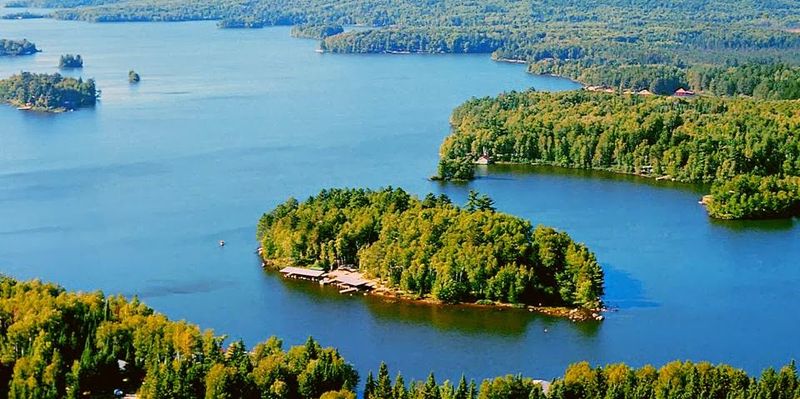 Where The Pines Meet The Water