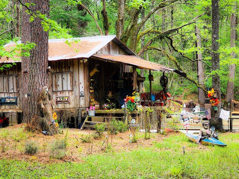 Where The Piney Woods Take Over Where The Piney Woods Take Over
