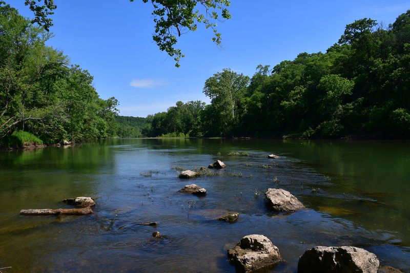 Where The River Meets The Woods