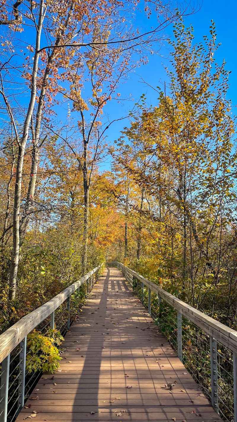 Where The Trail Begins