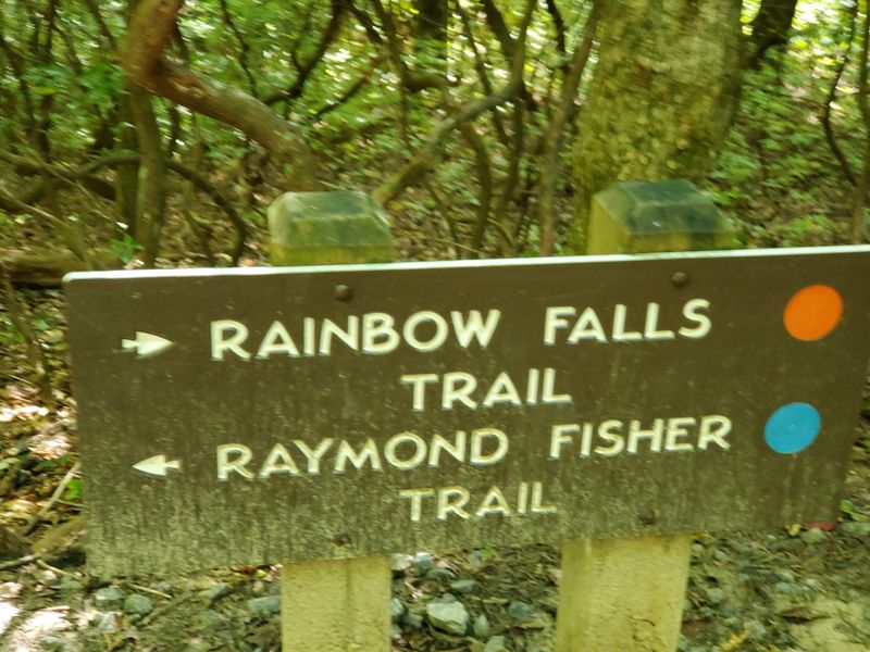Where The Trail Begins