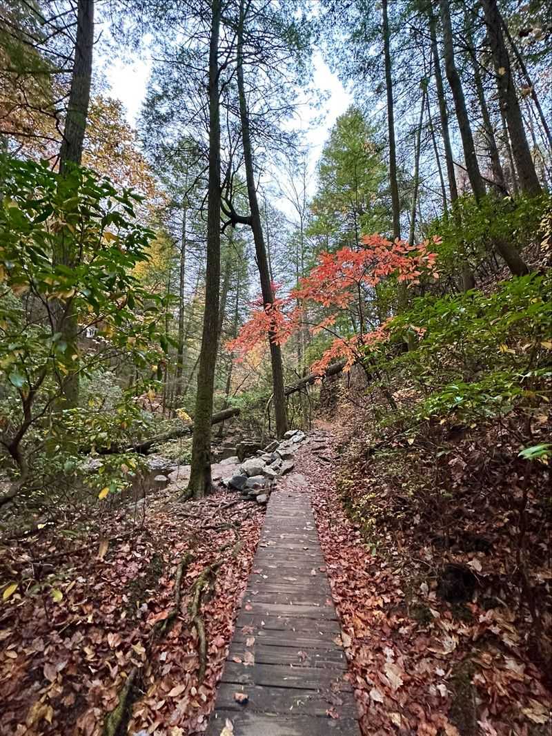Where The Trail Begins In Tracy City
