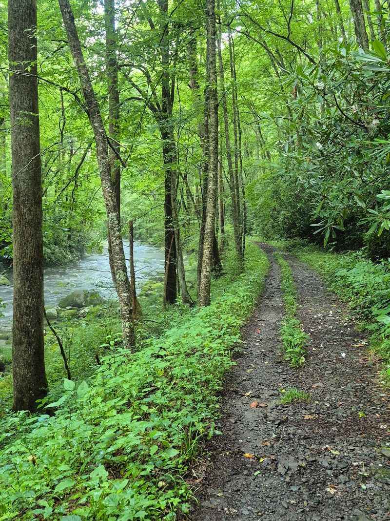 Where The Trail Begins Near Gatlinburg
