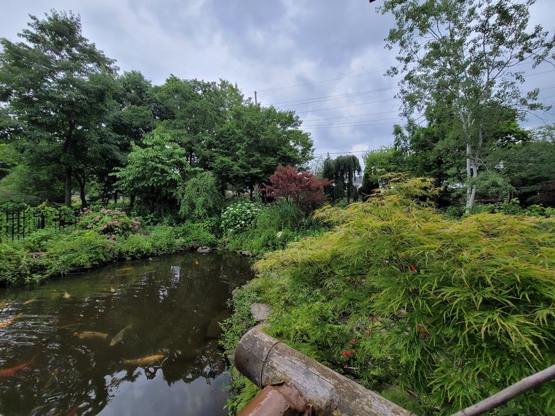 Where This Hidden Garden Actually Sits Where This Hidden Garden Actually Sits