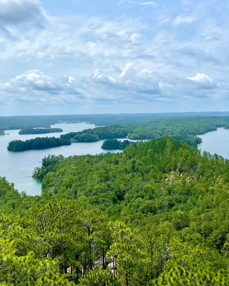 Where This Vast Alabama Lake Sits