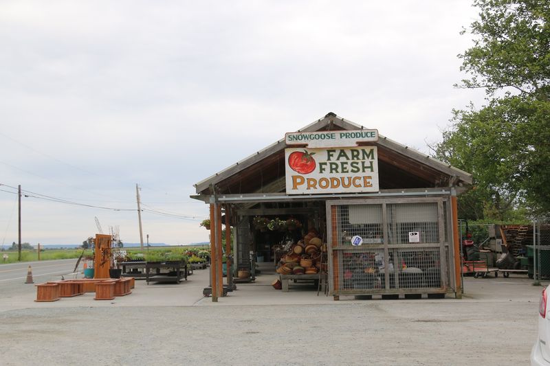 Where To Find This Roadside Market Where To Find This Roadside Market