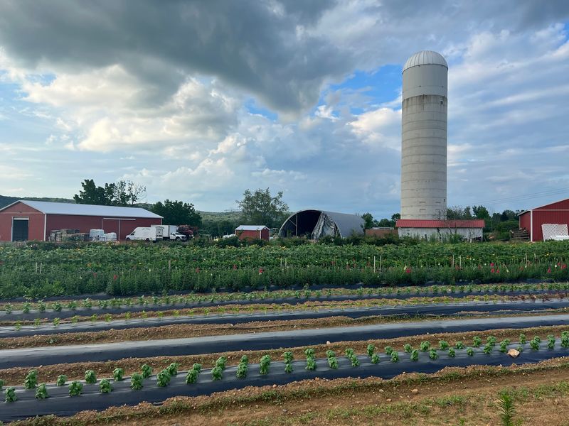 Where To Find This Sprawling Working Farm Where To Find This Sprawling Working Farm