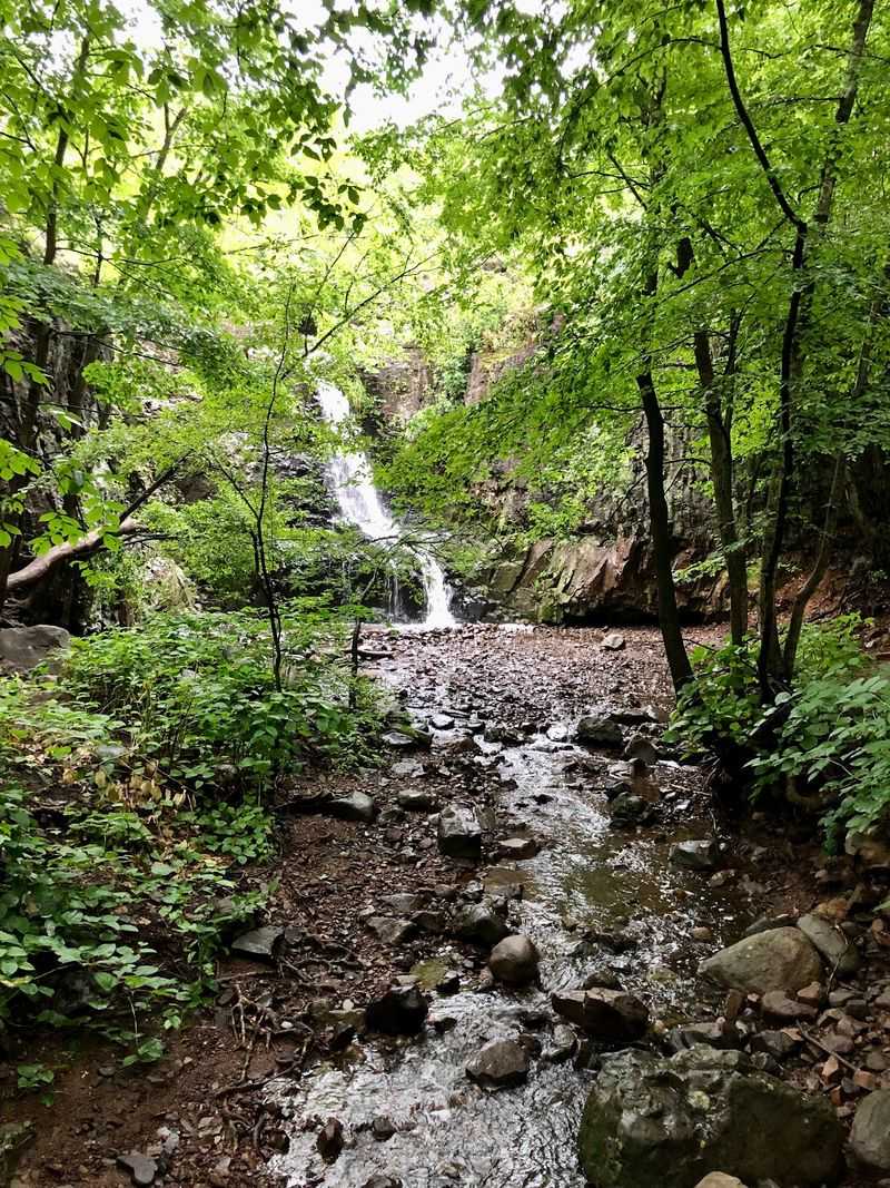 Where the Falls Hide Inside South Mountain Reservation