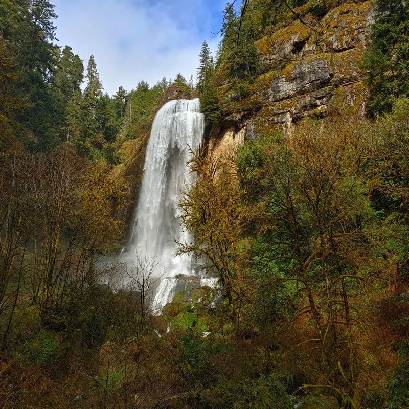 Where the Falls Hide Out