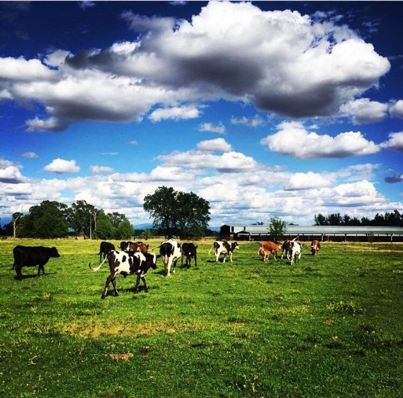 Where the Farm Sits and What It Really Is