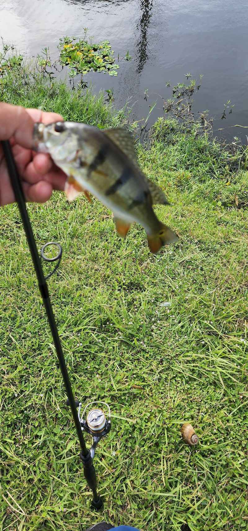 Where the Fishing Truly Never Stops