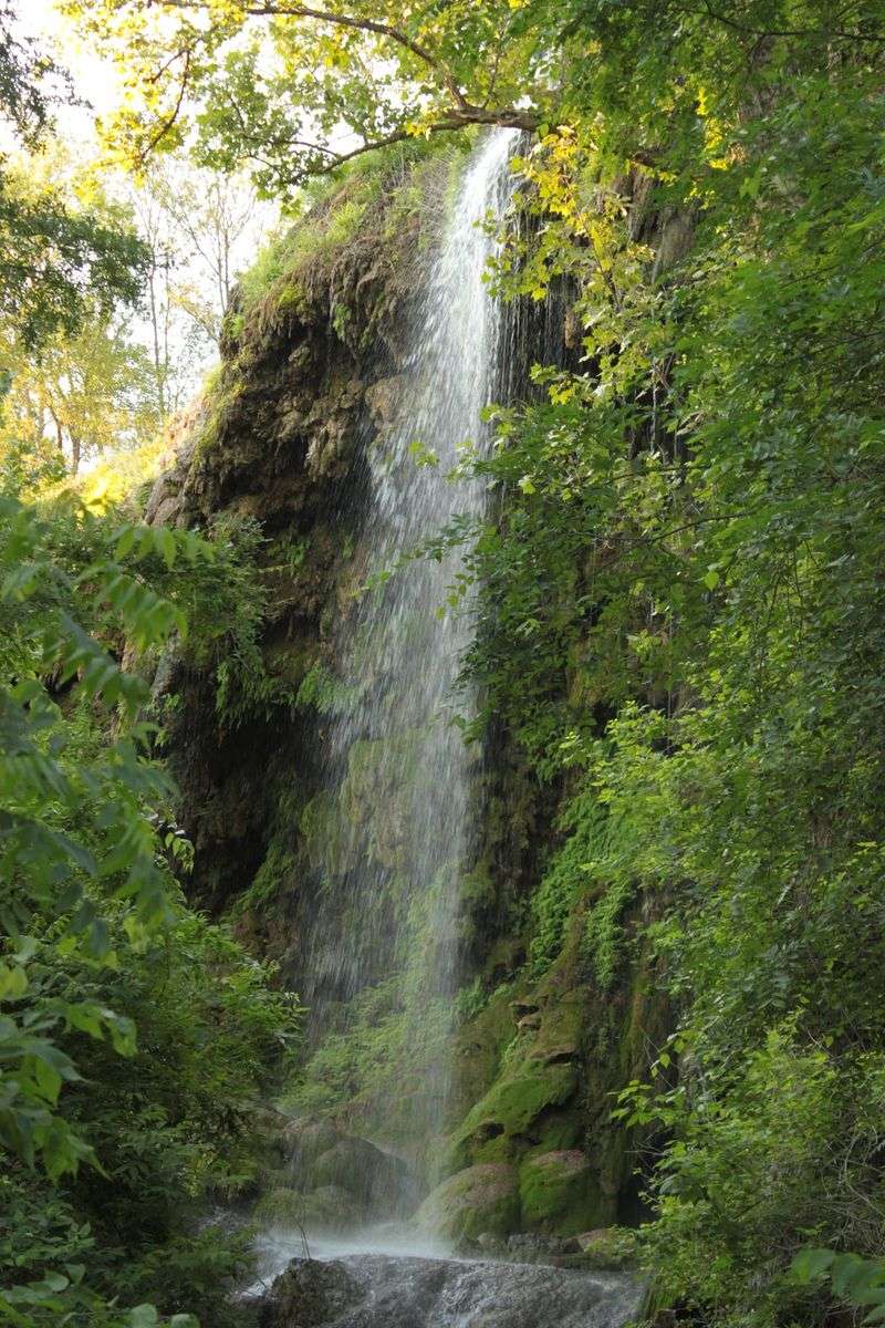 Where the Green Cliff Hides