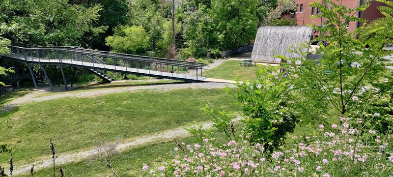 Where the Jackson River Runs Through