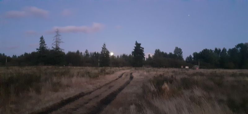 Where the Miller House Once Stood