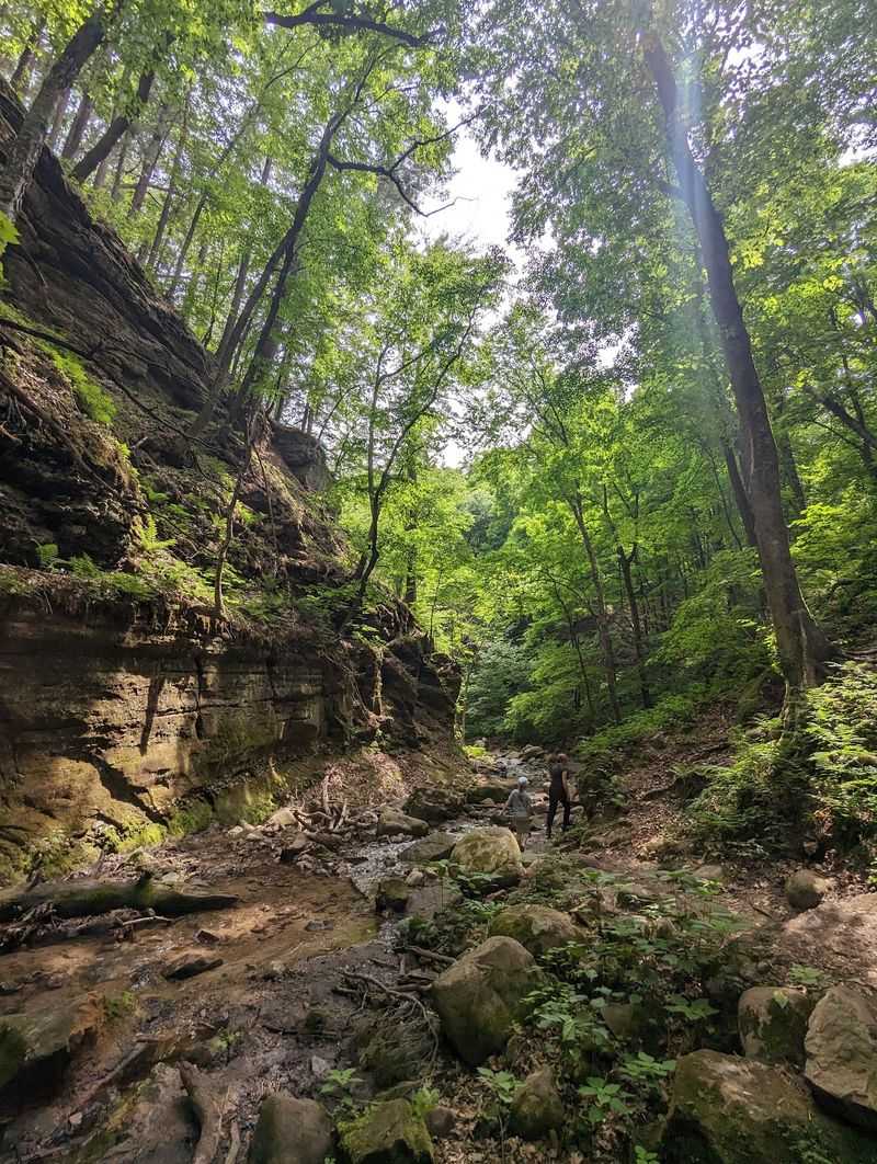 Where the Official Path Gives Way to Rock Hopping