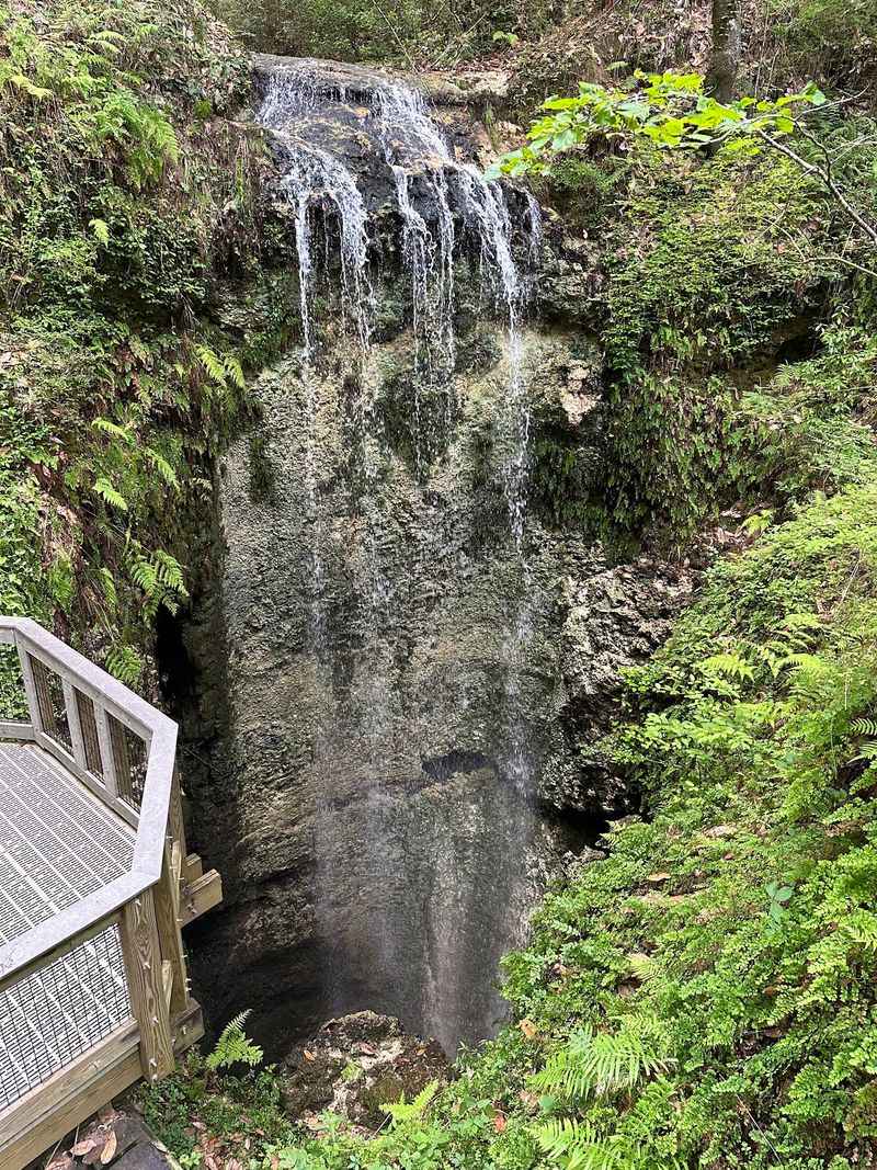 Where the Panhandle Hides Its Tallest Falls Where the Panhandle Hides Its Tallest Falls