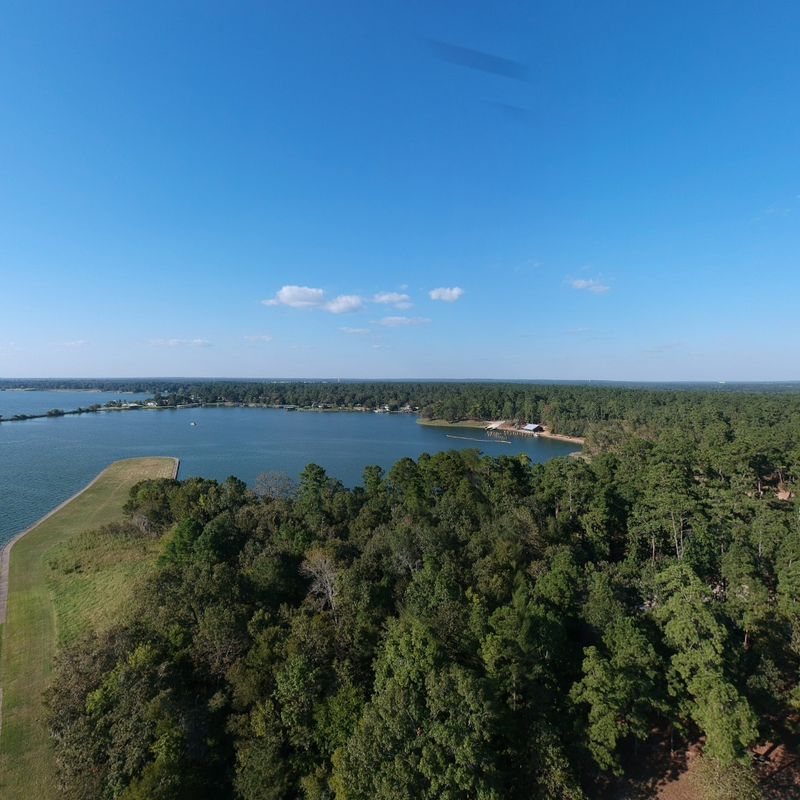 Where the Pines Meet the Water