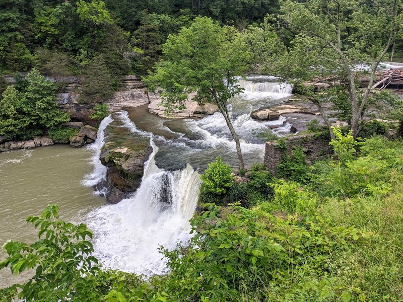 Where to Find This Roadside Wonder