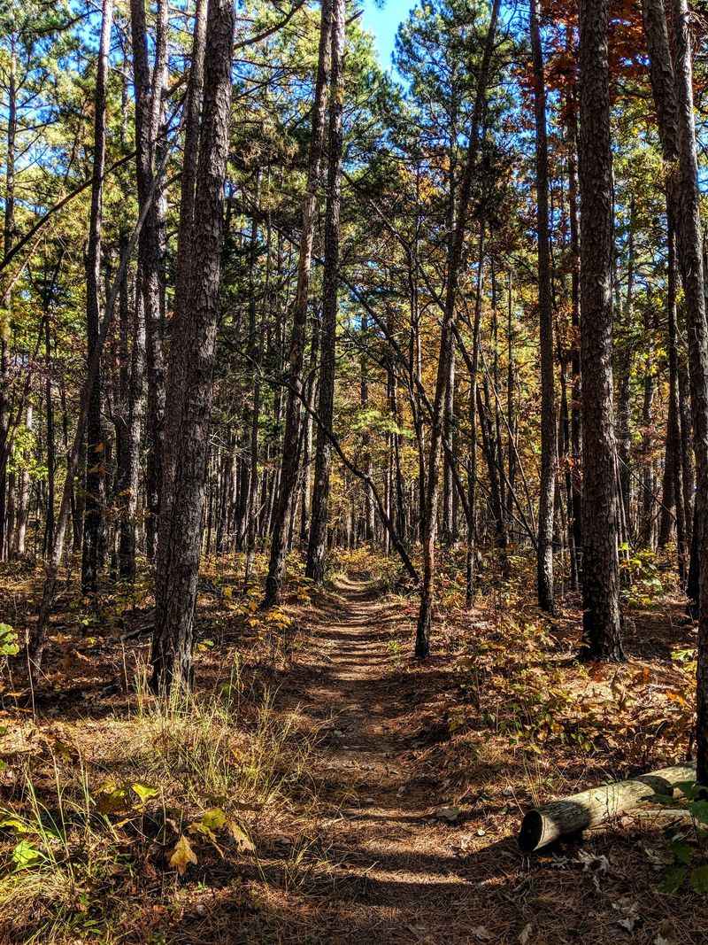 Whispering Pines, One of Missouri's Best Hikes