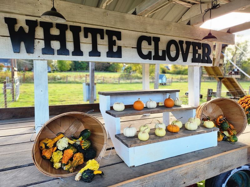White Clover Family Farm, York, PA