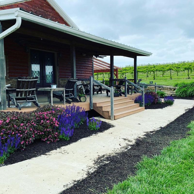 White Tail Run Winery, Vineyard and Disc Golf Course, Edgerton, KS