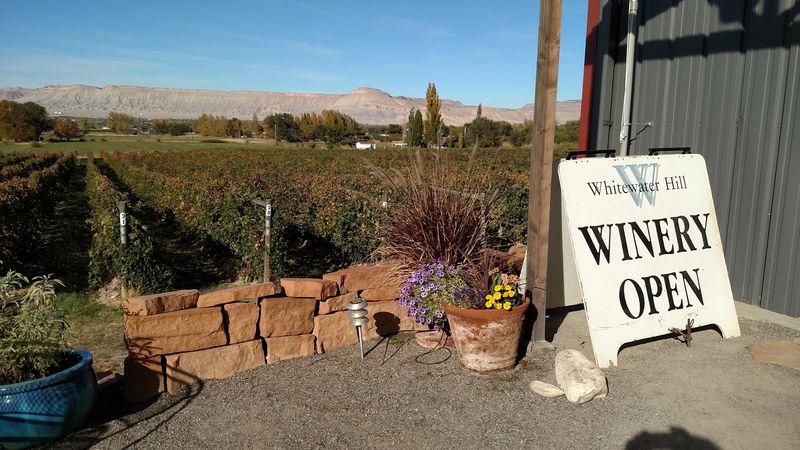 Whitewater Hill Vineyards, Grand Junction, CO Whitewater Hill Vineyards, Grand Junction, CO