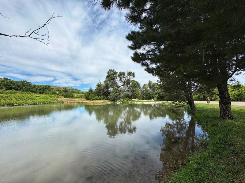 Who Will Love This Peaceful Retreat