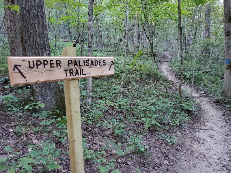 Who the Trail Suits Best