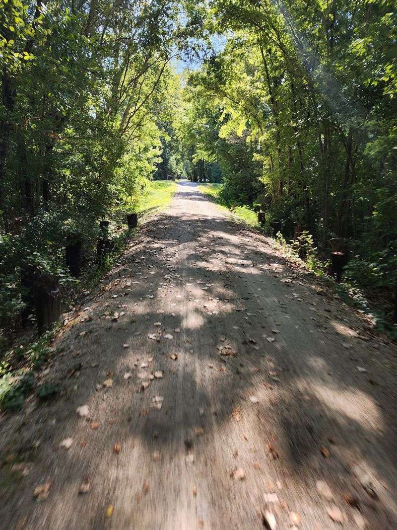 Why Autumn Belongs Here