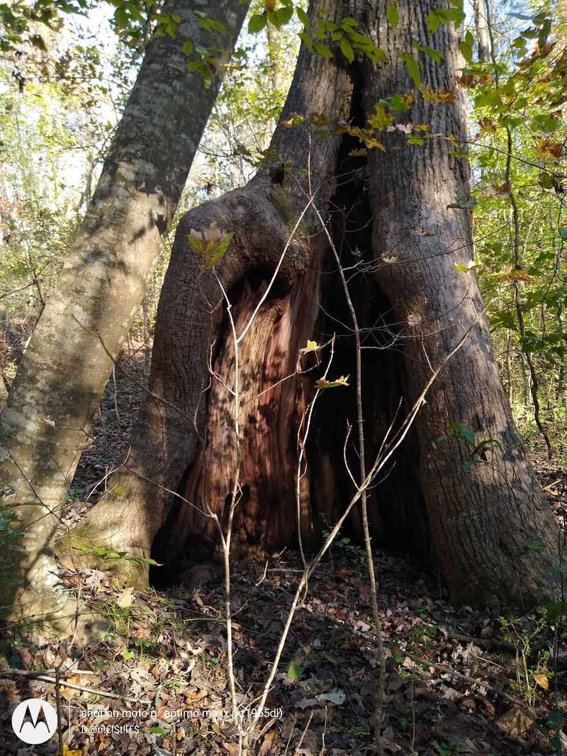 Why Clarkesville Deserves a Look