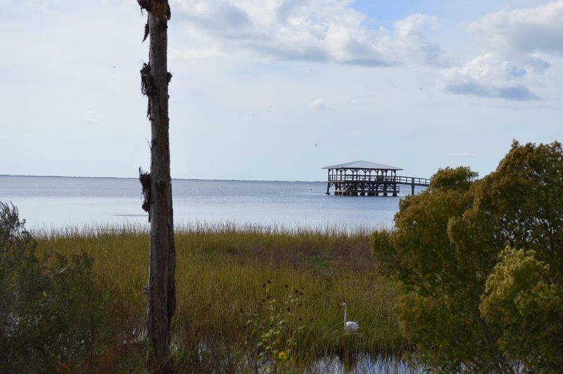 Why The Bay Setting Stands Out Why The Bay Setting Stands Out